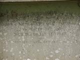 image of grave number 951100
